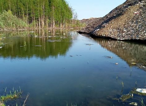 Нарушения на полигоне: в Сургуте складируют снег без экологической защиты