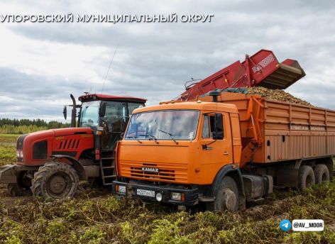 В Тюменской области стартовала уборка урожая
