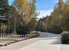 ​Парк «За Саймой» в Сургуте меняется ‒ появятся дорожки, площадка и единый стиль покрытия