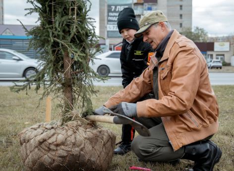 В Сургуте прошел очередной этап осенней акции по высадке деревьев