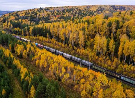 Товарооборот между Тюменской областью и Китаем вырос в 1,5 раза