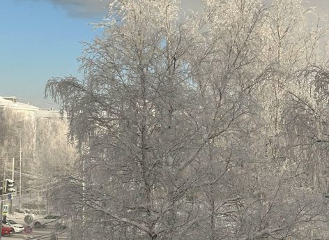 В Сургуте после морозных выходных ожидается потепление до +3 градусов