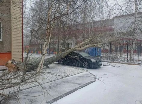 В Сургуте коммунальные службы перешли на усиленный режим из-за непогоды