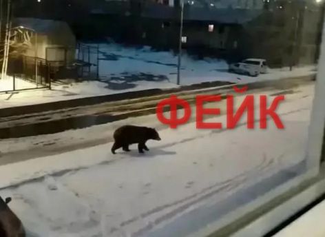 В Сургутском районе школьник сгенерил картинку с медведем на улице поселка и это привело к большому переполоху