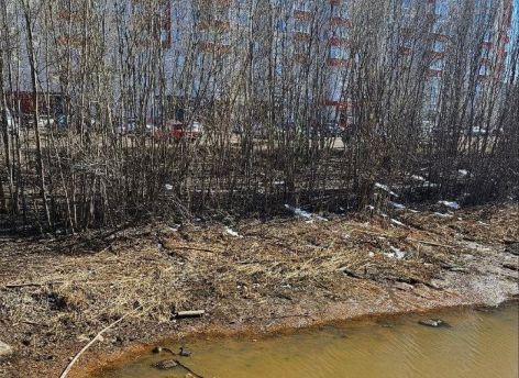 ​Жители Сургута попросили убрать мусор с берегов Саймы