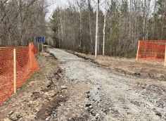 ​Депутат Думы Сургута оценил старт работ в парке «За Саймой»