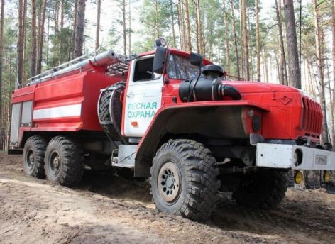 В Тюменской области наказали 22 нарушителей особого противопожарного режима