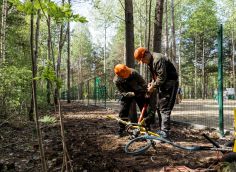Власти Сургута начали благоустройство дорожек в парке «За Саймой»