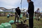В ходе экологической акции в парке «За Саймой» сургутяне высадили яблони, сирень и рябину