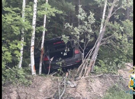 Неожиданно выбежавший на дорогу лось стал причиной аварии, в которой погибла девушка