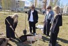 В Сургуте выпускники высадили новые деревья и дали старт летнему озеленению города