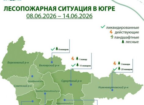 За неделю в Югре потушили 46 лесных пожаров