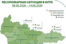 За неделю в Югре потушили 46 лесных пожаров