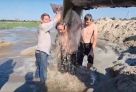 ​Во время противостояния из-за намыва песка возле «Боровой» в Сургуте госпитализировали двух человек
