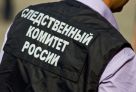 Следователи проверяют обстоятельства смерти трехлетнего ребенка в Ханты‑Мансийске