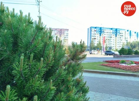 ​Семейную ипотеку хотят сделать более адресной уже с 1 июля