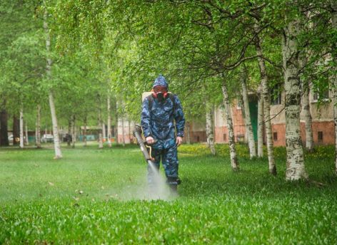 ​Жители Сургута жалуются на мошку в городе