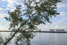 Июнь в Югре побил температурный рекорд века
