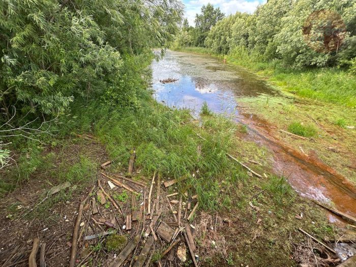 ​В Сургуте 14 августа пройдет акция по очистке берегов водоемов от мусора