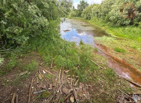 ​В Сургуте 14 августа пройдет акция по очистке берегов водоемов от мусора