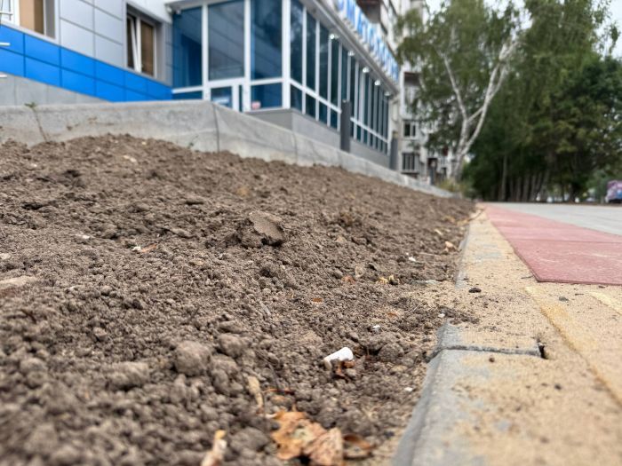 Газон выше тротуара: власти Сургута прокомментировали благоустройство на Ленинградской