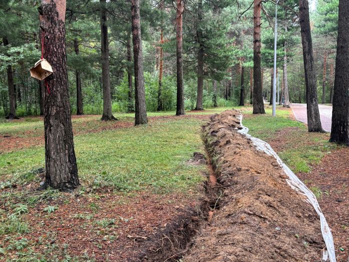 Парк «За Саймой» вскоре будет полностью оборудован видеонаблюдением