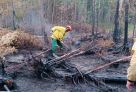 В Югре впервые за два месяца нет ни одного лесного пожара