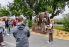 В центре Тюмени откроют 11 «Садов времени» – живую лабораторию под открытым небом