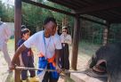 Волонтеры из девяти стран обновили экотропу, экоцентр и создали муралы в Белоярском районе