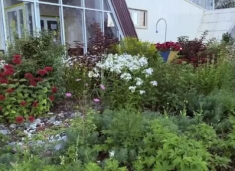 Сургутские власти призывают горожан выбрать самую зеленую школу или детский сад