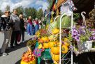 На праздник «Урожай года» в Сургуте пришли тысячи жителей города