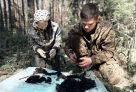 Поисковики из Тюменской области за летнюю вахту нашли останки 19 красноармейцев