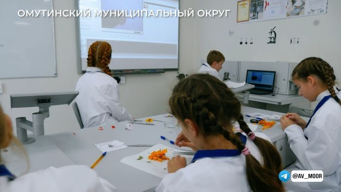 В Тюменской области родители массово записывают детей в кружки и секции при помощи онлайн-сервиса