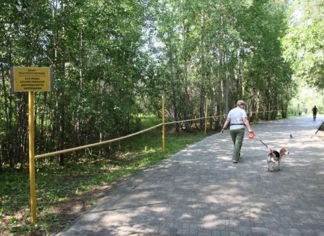 Прокладывать дорожки в парке «За Саймой» в Сургуте предстоит новому подрядчику