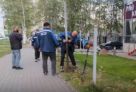 Забор СИА-ПРЕСС ЦЕНТРа переедет к школе №9 и станет ограждением спортплощадки