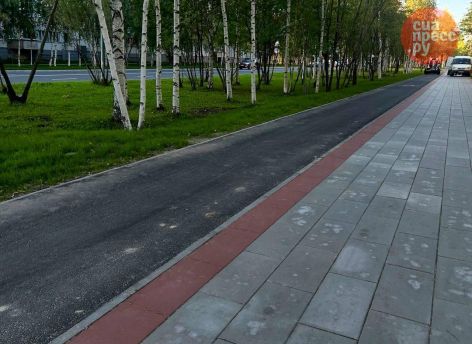 Власти Сургута хотят объединить все велодорожки в единый маршрут