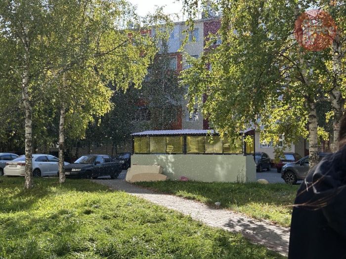 ​Теплая осень разбудила мошкару в Сургуте