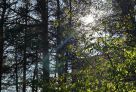 Сургуту предстоят последние теплые выходные в этом году