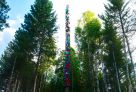 В этнодеревне Югры построили скворечник-многоэтажку