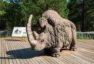 Комплекс «Барсова Гора» вышел в финал премии Russian Event Awards
