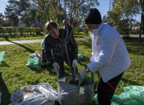 Клены, яблони и сирень: сургутяне вместе озеленили Сквер Дружбы народов