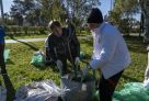 Клены, яблони и сирень: сургутяне вместе озеленили Сквер Дружбы народов