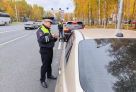 ​С начала года в Сургуте произошло 41 ДТП с пешеходами