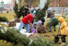 В сургутском Сквере юных инженеров на Первопроходцев пройдет высадка деревьев