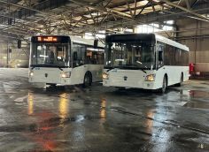 Сфера перевозок уплывает из рук города, и все молчат