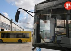 11 маршрутов, 107 автобусов и меньше двух месяцев до запуска: готов ли новый перевозчик к работе в Сургуте