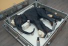 Югорчане смогут увидеть мумии мамонтенка Димы, носорожка и пещерных львят