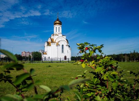 ​В Сургуте в 2027 году планируют косить газоны на 27 территориях