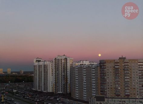 ​Жители Сургута все чаще покупают жилье без ипотеки